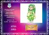 PY1AX Image